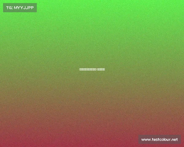 电子竞技宋哥是谁啊视频-电竞宋小宝